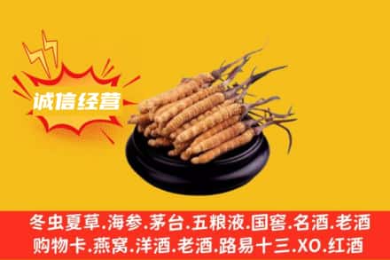 怀化会同县回收冬虫夏草